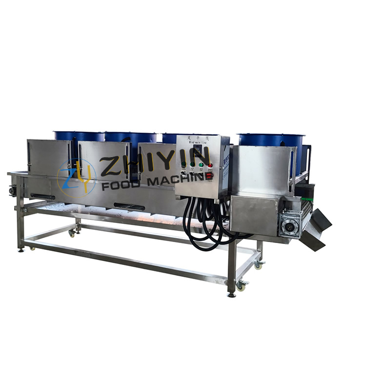 Vegetable fruit washing drying machine